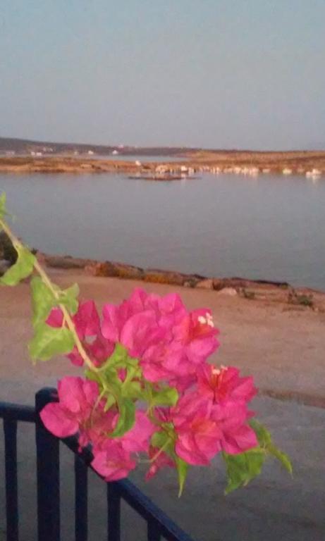 Отель Bocamviglies By The Sea Науса Экстерьер фото